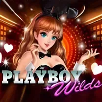 Aplicativo De Login Do Crashino Casino